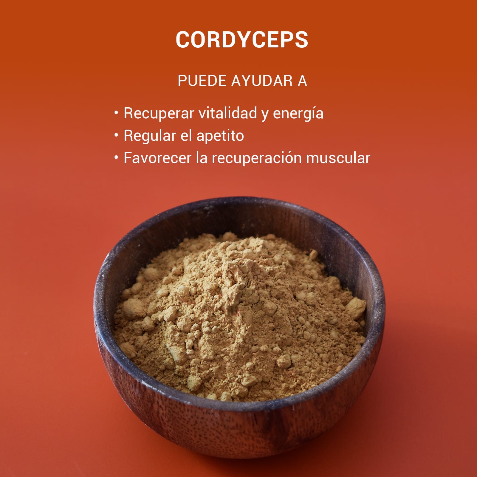 Cordyceps - Image 4